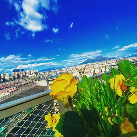 Napoli's Rooftop
